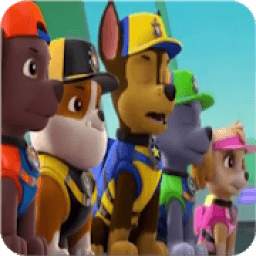 Paw patrol Videos