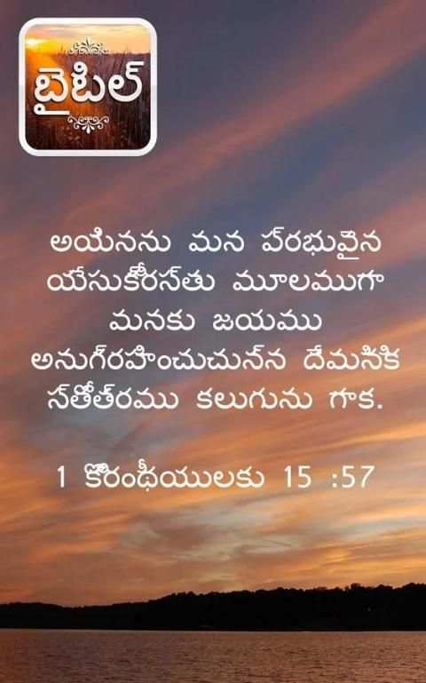 తెలుగు బైబిల్ स्क्रीनशॉट 2