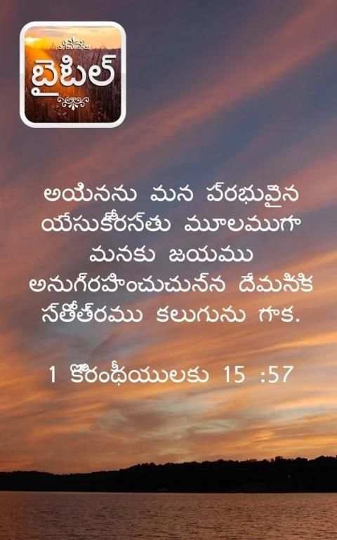 తెలుగు బైబిల్ स्क्रीनशॉट 10