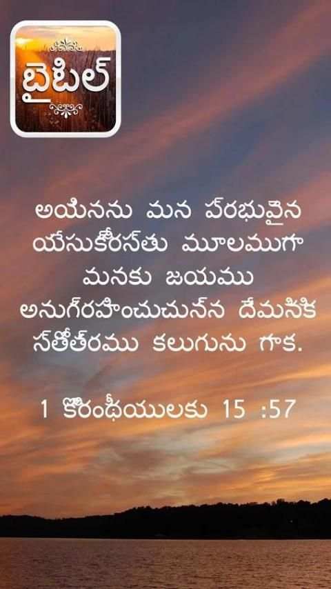 తెలుగు బైబిల్ स्क्रीनशॉट 18
