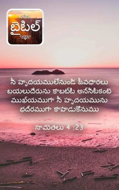 తెలుగు బైబిల్ स्क्रीनशॉट 9