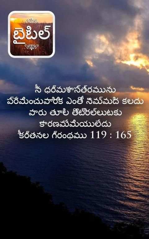 తెలుగు బైబిల్ स्क्रीनशॉट 8