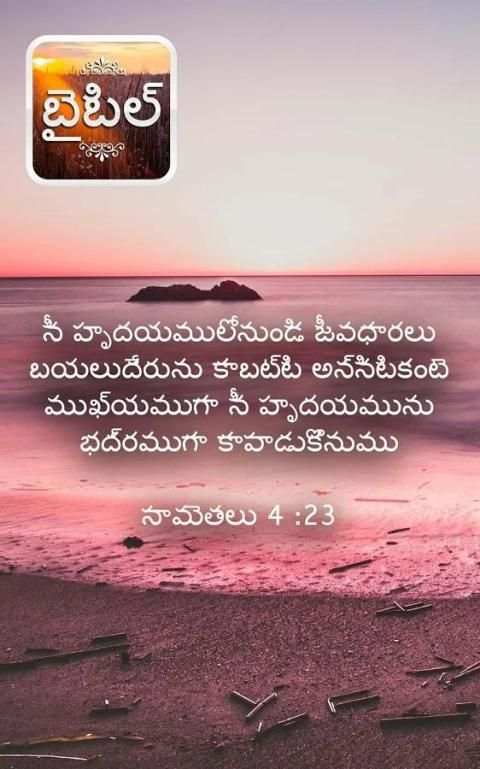 తెలుగు బైబిల్ स्क्रीनशॉट 1