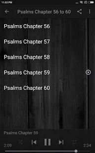 KING JAMES BIBLE (KJV): PSALMS AUDIO screenshot 3