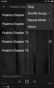 KING JAMES BIBLE (KJV): PSALMS AUDIO screenshot 2