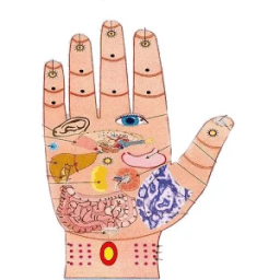Acupressure Points Tips icon