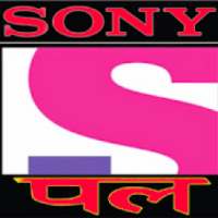Sony Pal