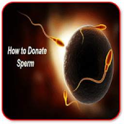 How to Donate Sperm