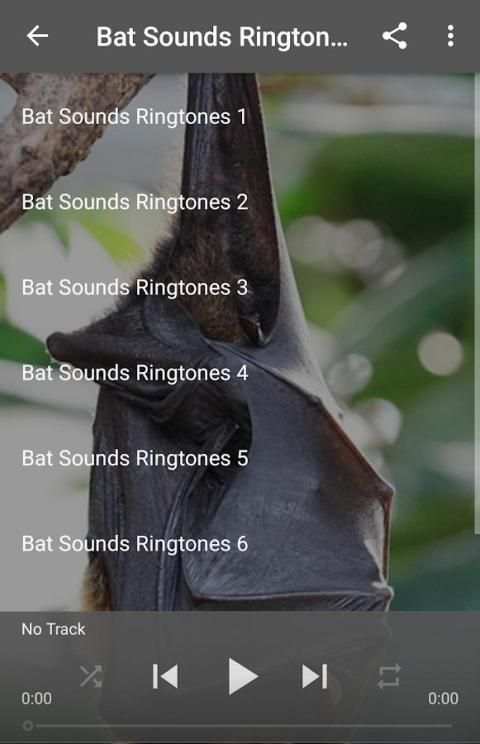 Bat Sounds Ringtones screenshot 1