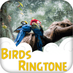 Bird Ringtone आइकन
