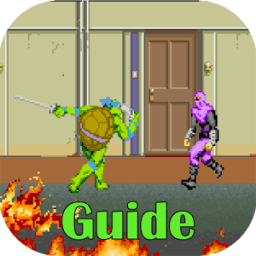 ikon Guide for Teenage Mutant Ninja Turtles