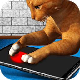 Laser pointer for cats icon