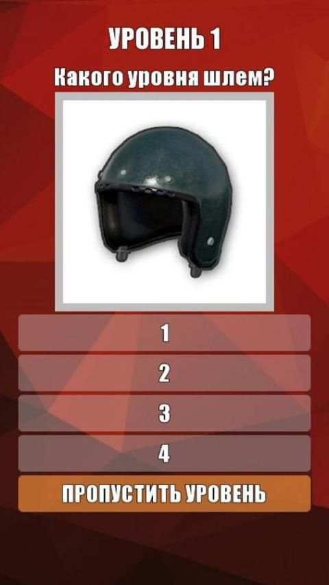 ВИКТОРИНА ПО PUBG screenshot 1