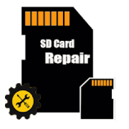 ikon Repair Card SD
