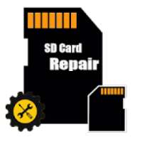 Repair Card SD