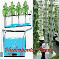 hydroponics plants on 9Apps
