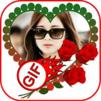 Rose Gif Photo Frame 2018 & Animated Photo Maker