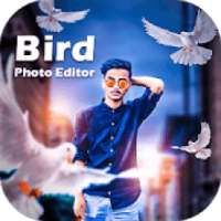 Bird Photo Editor on 9Apps