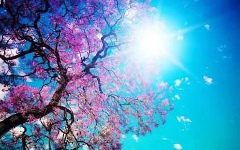 Spring Wallpapers 2018 स्क्रीनशॉट 1