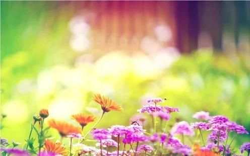 Spring Wallpapers 2018 स्क्रीनशॉट 4