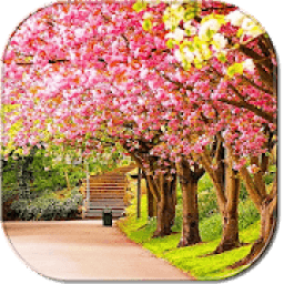 Spring Wallpapers 2018 आइकन
