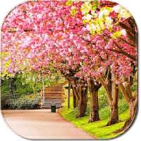 Spring Wallpapers 2018 on 9Apps