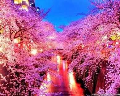 Spring Wallpapers 2018 स्क्रीनशॉट 2