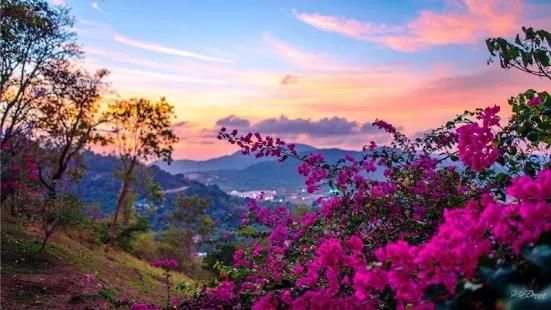 Spring Wallpapers 2018 स्क्रीनशॉट 3