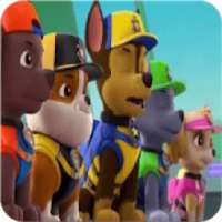 Paw patrol Video