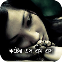 ikon Koster Status 2018