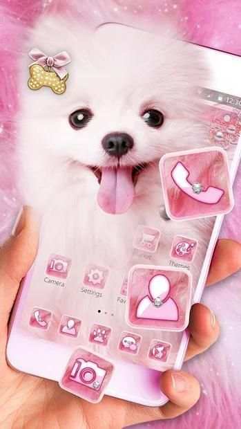 Tema Pink Cute Puppy screenshot 2