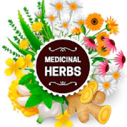 Plantas medicinales y usos App