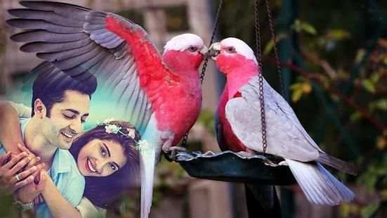 Love Birds Photo Frame Editor स्क्रीनशॉट 4
