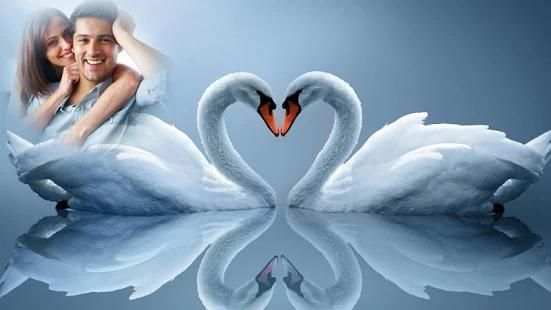 Love Birds Photo Frame Editor स्क्रीनशॉट 1