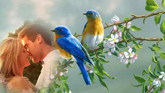 Love Birds Photo Frame Editor स्क्रीनशॉट 3