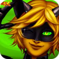 Cat Noir Wallpaper