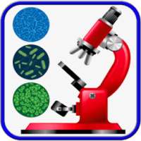 Digital Microscope Zoom Camera UHD