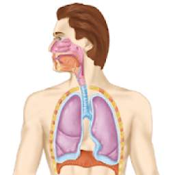 Common Respiratory Diseases & Treatments A - Z