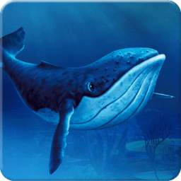 Blue Shark Daring 1.0