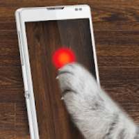 Meow: Laser point for cat