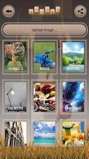 Swap Puzzle स्क्रीनशॉट 2