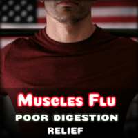 Muscles Flu and Poor Digestion - Wintergreen Oil