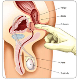 Preguntas Sobre La Próstata icon