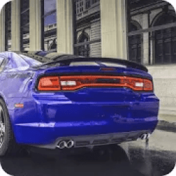 Driving For Speed: Ultimate Racing icon