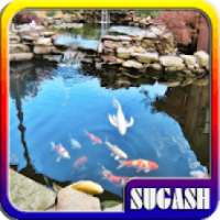 Minimalist Fish Pond Design on 9Apps