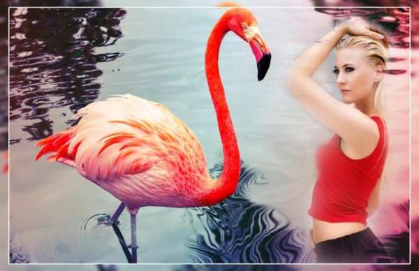 Flamingo Photo Editor - flamingo photo frames स्क्रीनशॉट 2