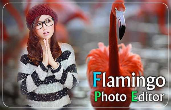 Flamingo Photo Editor - flamingo photo frames स्क्रीनशॉट 1