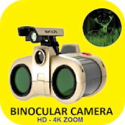 Binocular High Zoom Camera