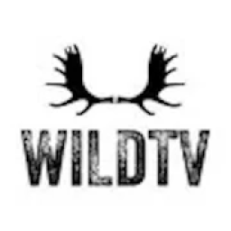Wild TV icon