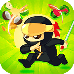 ikon Cut Fruit - Fruit Slice